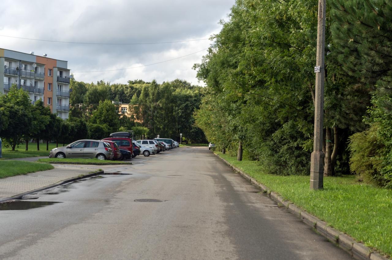 Tempo 30 w Miechowicach 2