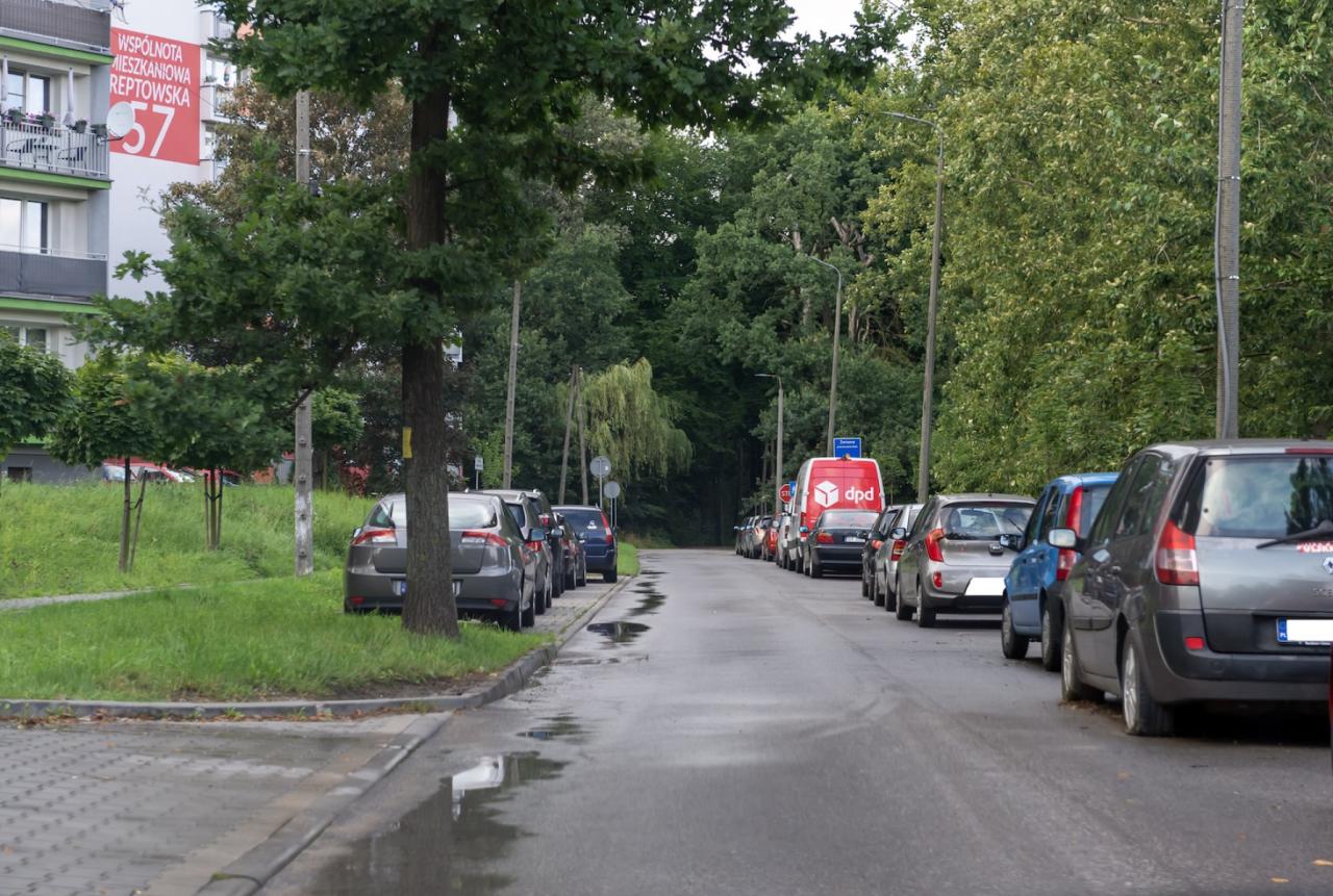 Tempo 30 w Miechowicach 5