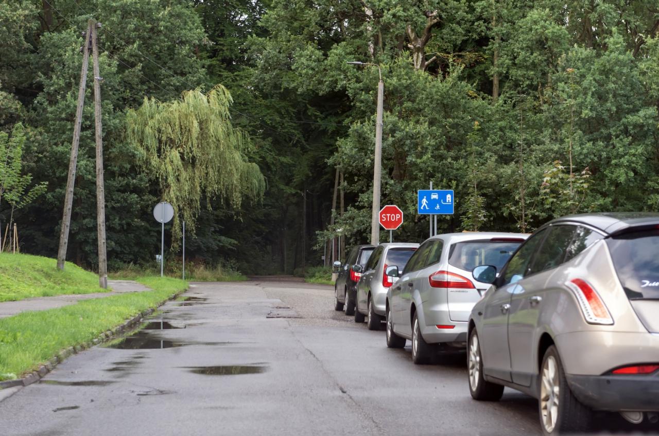 Tempo 30 w Miechowicach 7