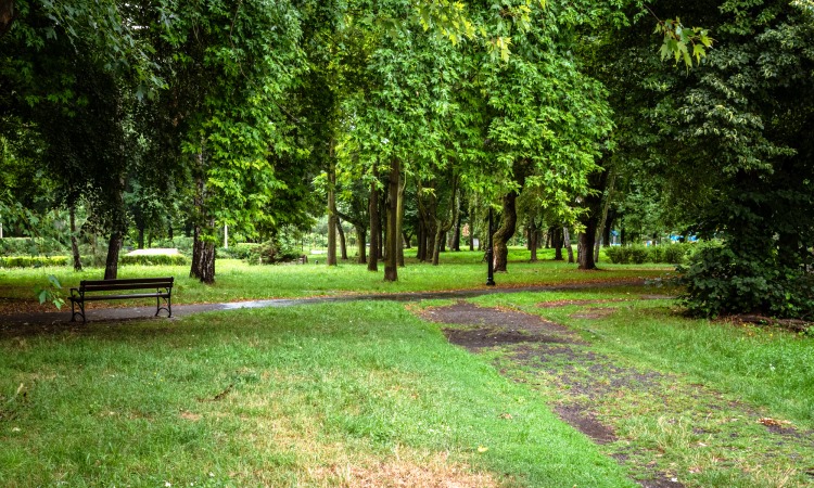 Sosnowiec: Park przy Bulwarach Czarnej Przemszy odzyska blask