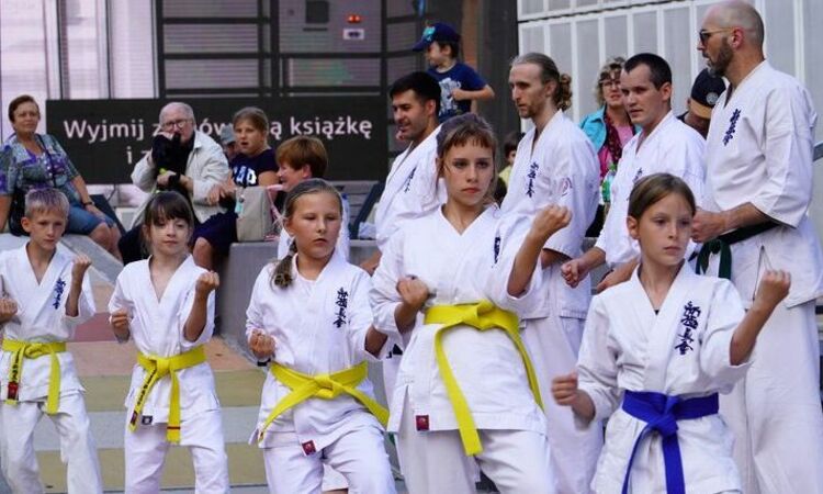 Rusza Letnia Akademia Karate w Sosnowcu. Zapisz się!