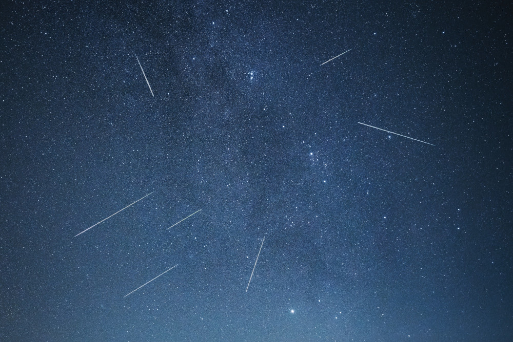 Noc Spadających Gwiazd już 11 sierpnia w Śląskim Ogrodzie Botanicznym