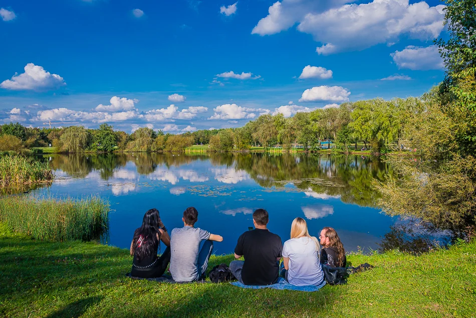 Powstaną nowe łąki kwietne i zielone strefy w Katowicach