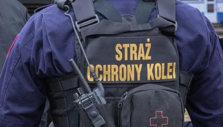 Nastolatkowie zmieniali relacje pociągów. "Robili to dla zabawy"