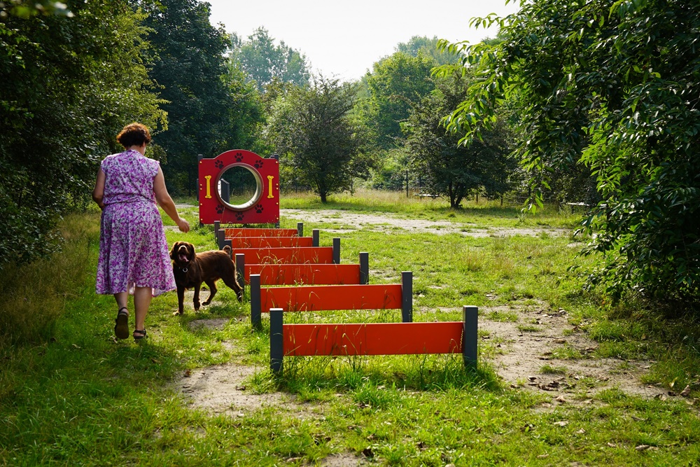 Katowice: Na Kokocińcu powstanie nowy wybieg dla psów