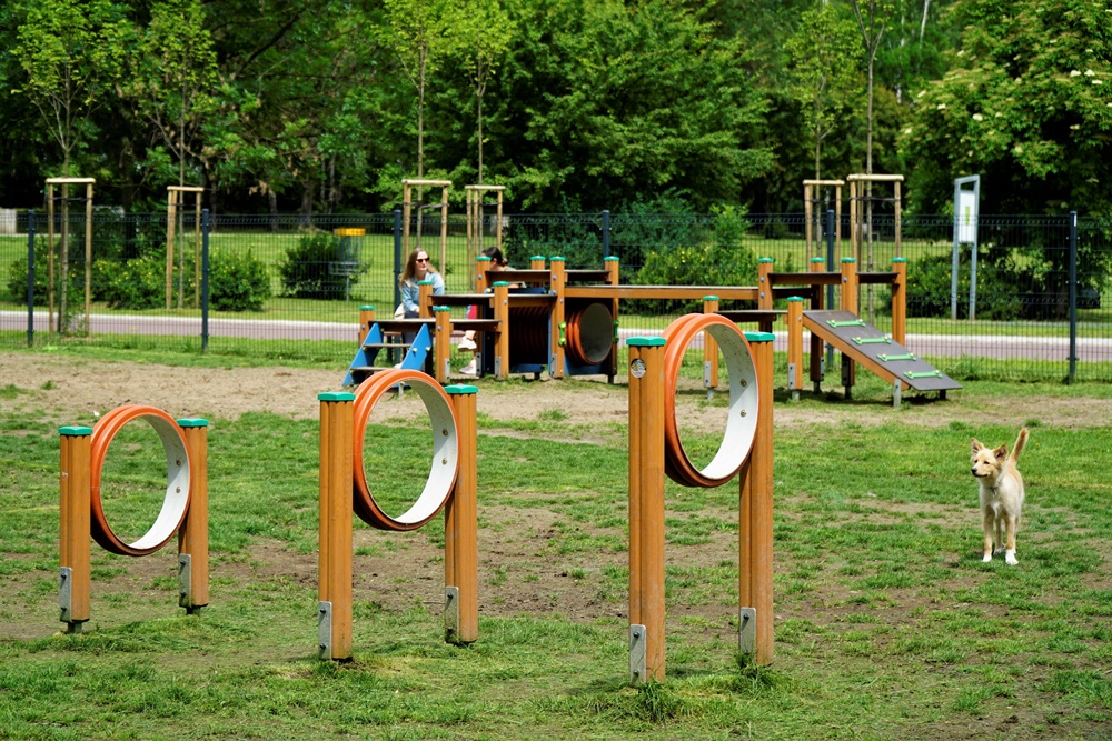 Katowice: Na Kokocińcu powstanie nowy wybieg dla psów