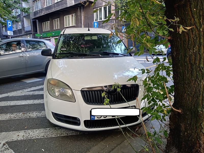 Wyzwanie parkowanie 10