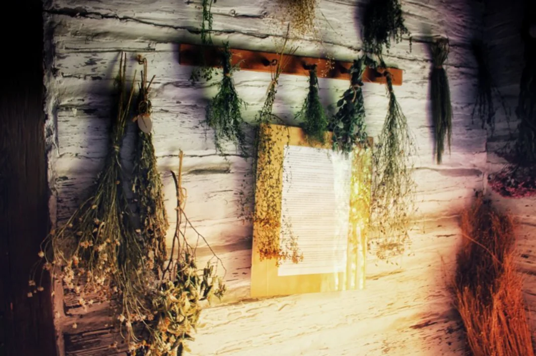 O zbożach, chlebie i ziołach. Sierpniowe zajęcia w chorzowskim Skansenie