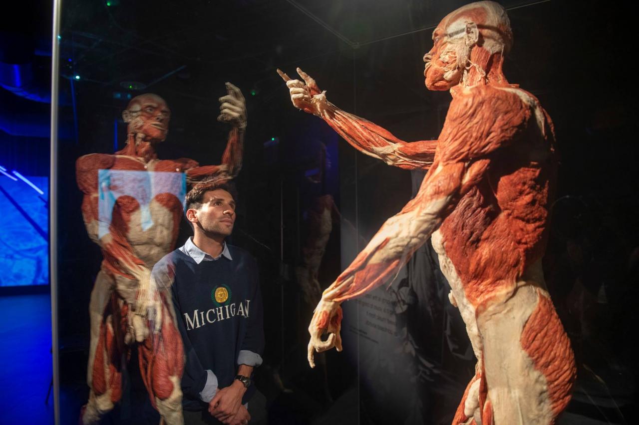 BODY WORLDS 5
