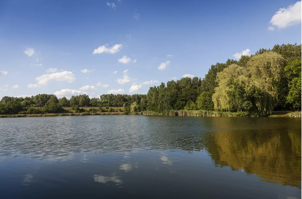 Rewitalizacja Parku Zacisze. Urząd Miasta Świętochłowice przekazuje komunikat