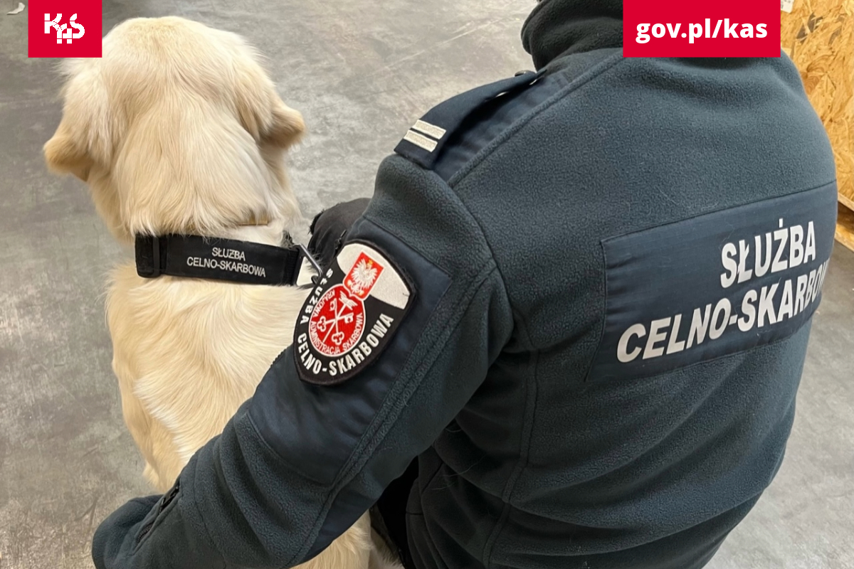 Śląska KAS zabezpieczyła żelki z zawartością substancji THC