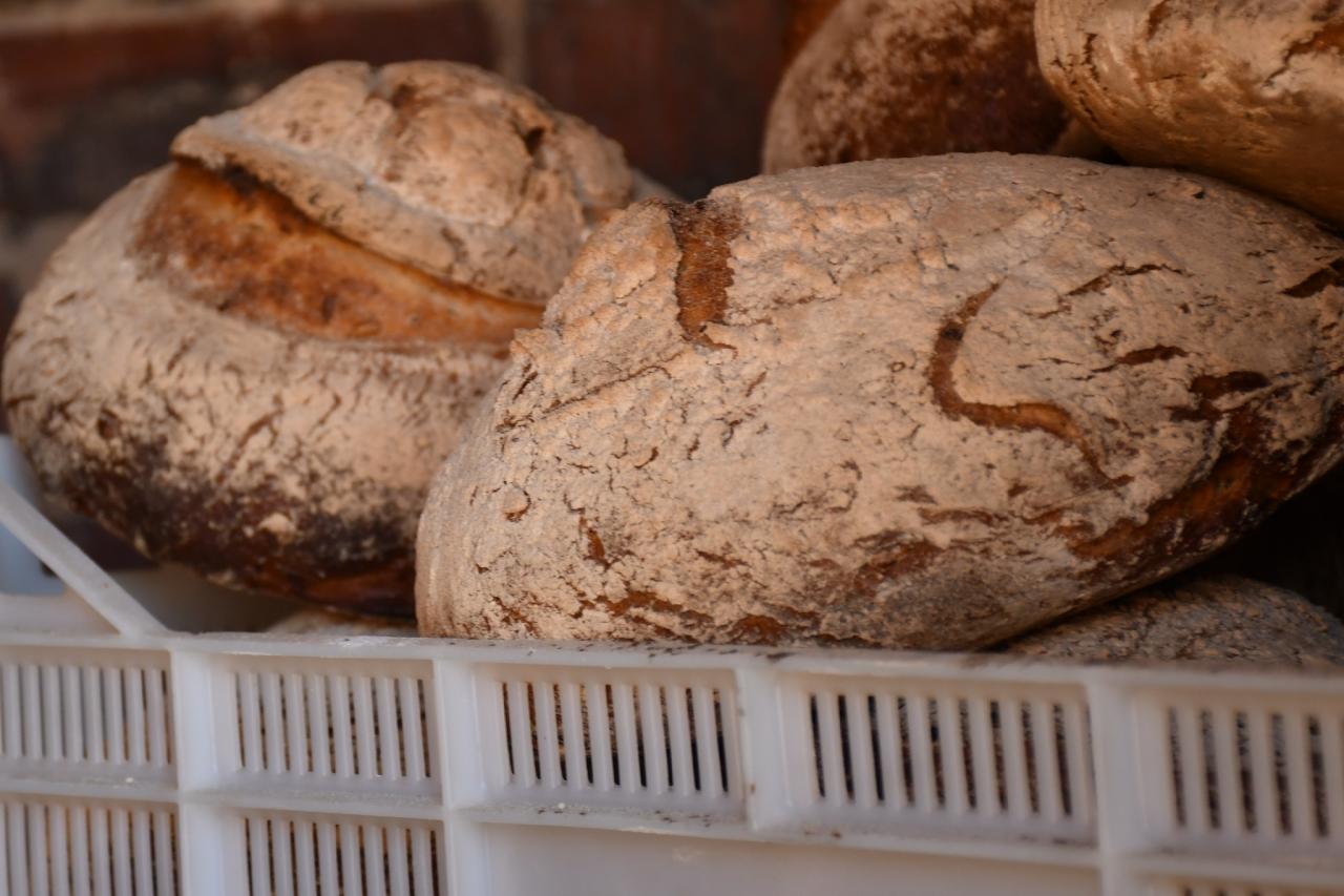 Europejskie Dni Dziedzictwa 2023. Za nami piknik przy piekaroku! / fot. Jacek Knapik 27