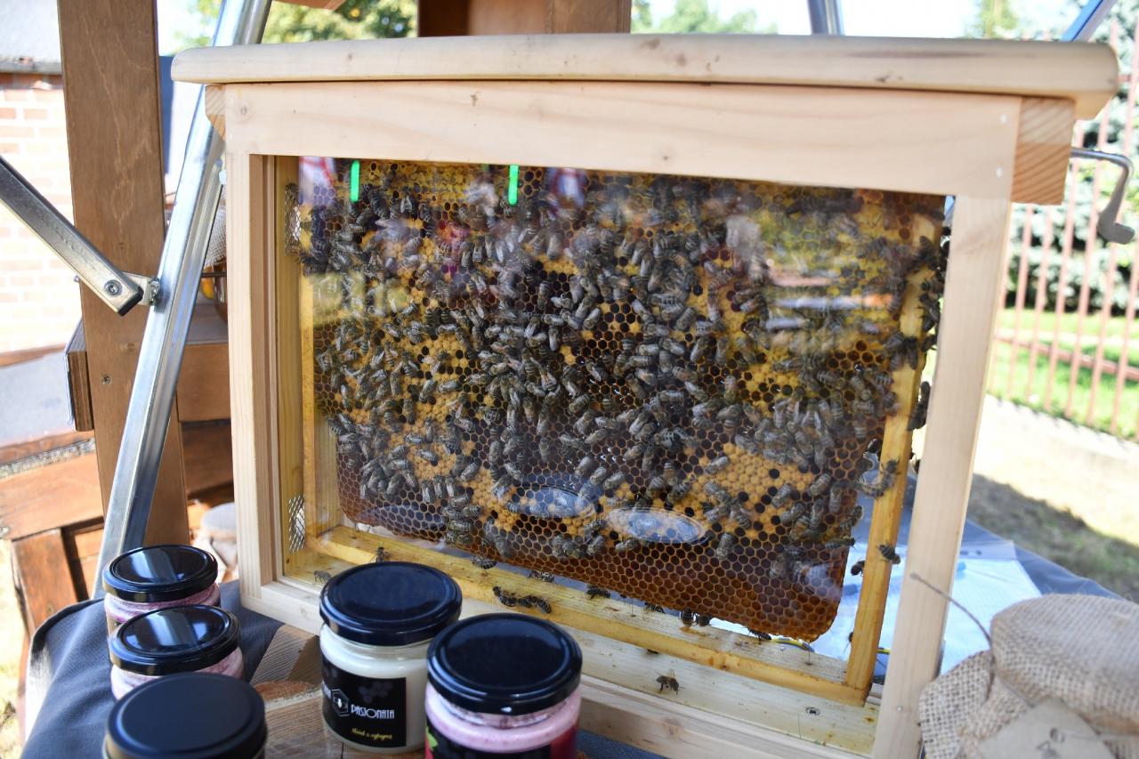 Europejskie Dni Dziedzictwa 2023. Za nami piknik przy piekaroku! / fot. Jacek Knapik 31