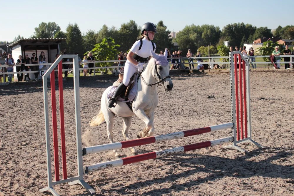 Za nami Towarzyskie Zawody w Ujeżdżaniu o Puchar Prezydenta Miasta!