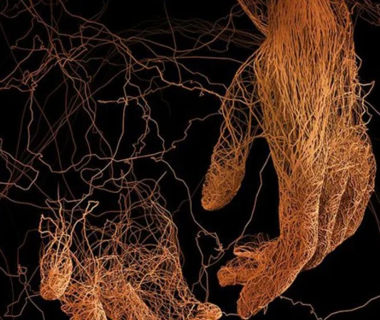 Dyskusyjny Klub Książki: "Dawna medycyna. Jej tajemnice i potęga" w Rybniku