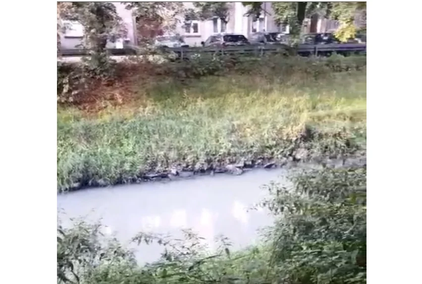 Gliwice: Dziwny zapach i kolor w Kłodnicy. Trwa śledztwo w sprawie zanieczyszczenia rzeki