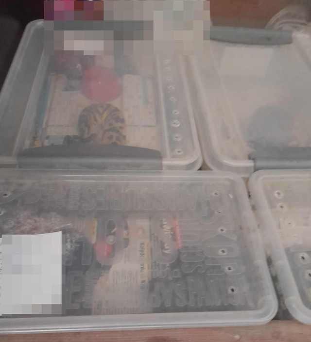 Bytom: 27 pytonów oraz 9 gekonów trzymanych w złych warunkach w mieszkaniu!