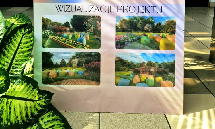 "Zielone Innowacje dla Szkół" – znamy zwycięzców konkursów