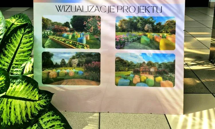 "Zielone Innowacje dla Szkół" – znamy zwycięzców konkursów