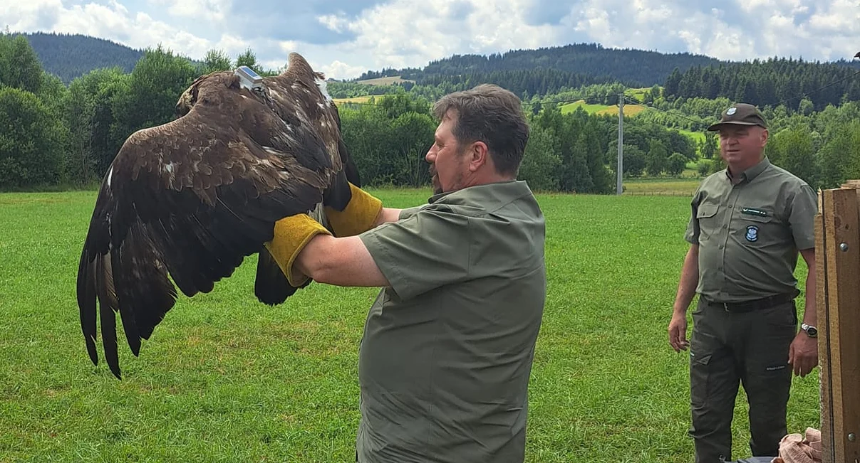 Petycja w obronie Leśnego Pogotowia w Mikołowie. Specjalna akcja na katowickim Rynku