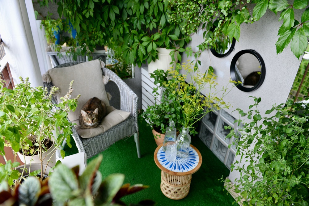 "Najpiękniejszy katowicki balkon" został wybrany. Sprawdź zwycięskie mieszkania! [ZDJĘCIA]