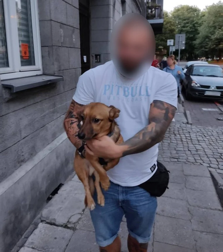 Katowiccy policjanci pomogli błąkającemu się psu. Hogan szczęśliwie wrócił do domu!