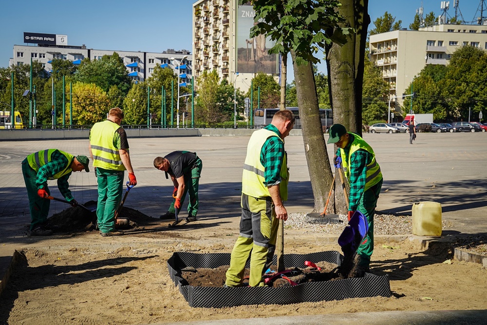 Symboliczne posadzenie drzewa podczas Stormwater Poland 2023 w Katowicach