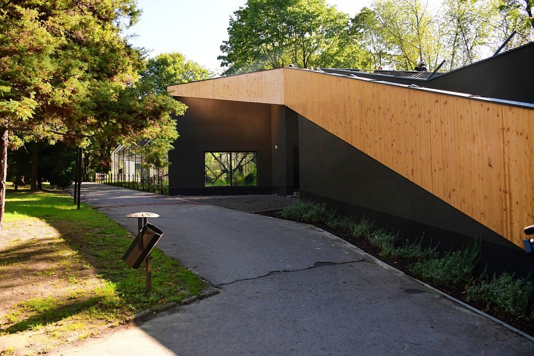 W chorzowskim zoo powstała nowa przestrzeń dla rysi i rosomaków