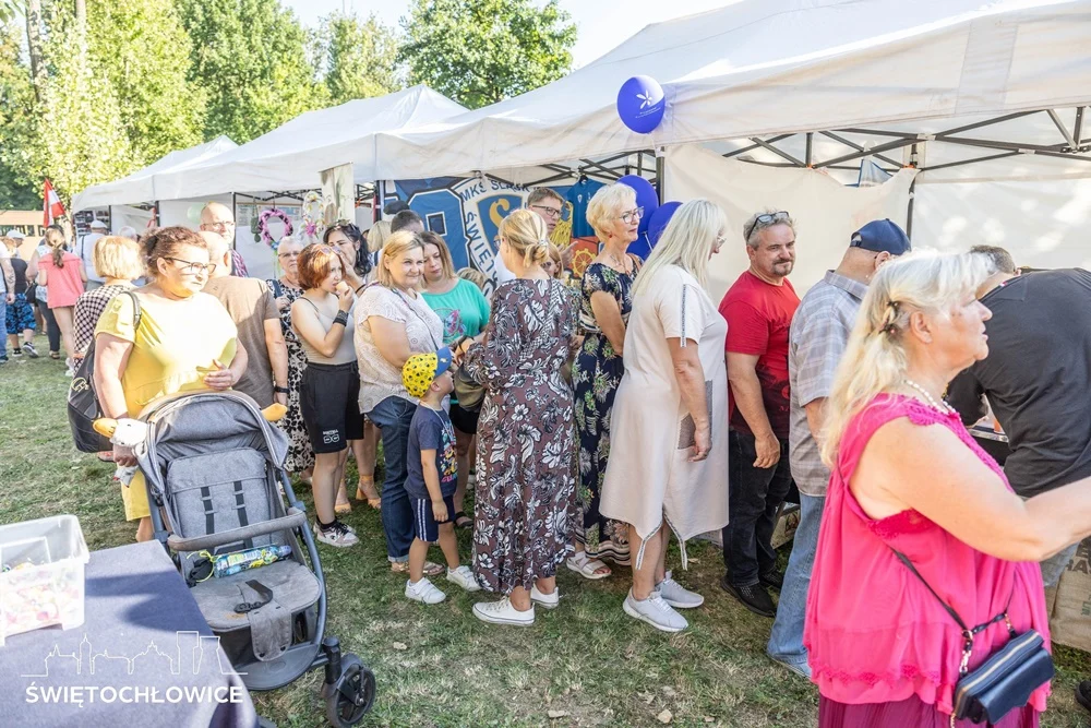 Świętochłowice: Piknik Organizacji Pozarządowych przyciągnął tłumy [ZDJĘCIA]