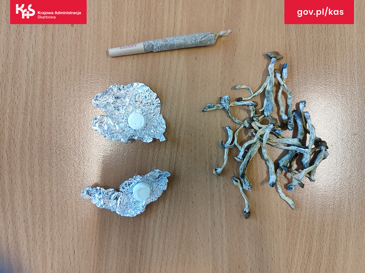 Grzybki i mocny joint w przesyłce z USA. Kontrola przesyłek w zabrzańskiej sortowni