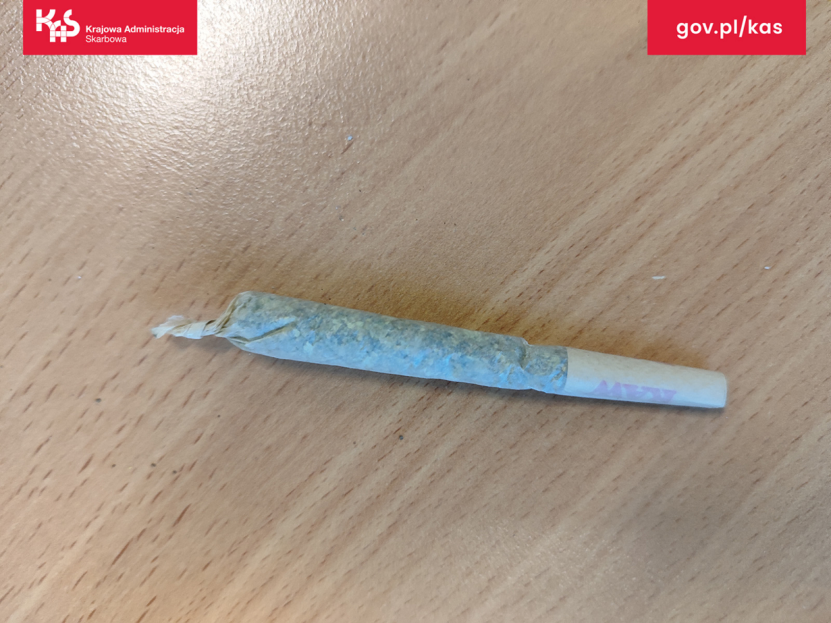 Grzybki i mocny joint w przesyłce z USA. Kontrola przesyłek w zabrzańskiej sortowni