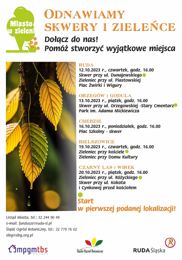 Ruda Śląska: Mieszkańcy doradzą, jak zagospodarować zieleńce