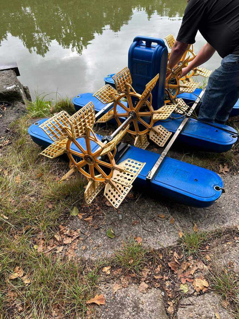 Zakwit glonów czy zanieczyszczenie? Co powodowało uciążliwości na stawie w Kochłowicach?