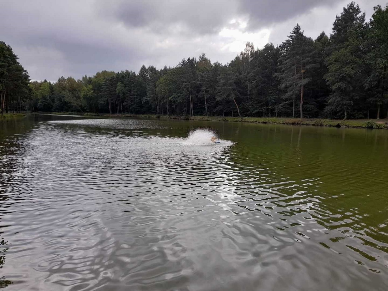 Zakwit glonów czy zanieczyszczenie? Co powodowało uciążliwości na stawie w Kochłowicach?