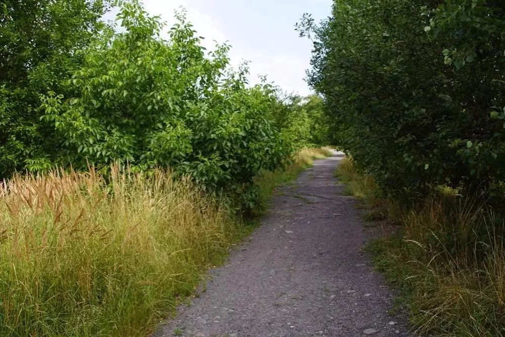 W przyszłym tygodniu ruszają prace przy budowie pierwszego odcinka trasy N-S na północ