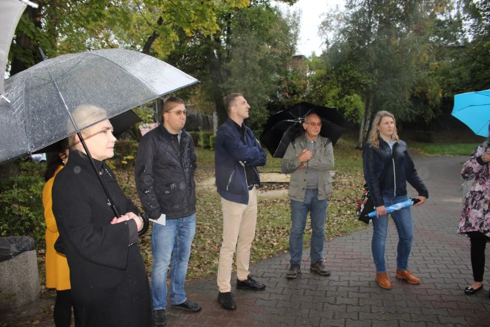 Trwają konsultacje dotyczące zagospodarowania miejskich terenów zielonych