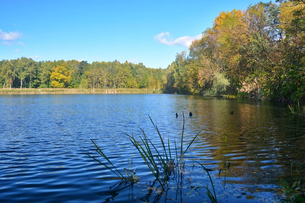 Rudzka jesień na zdjęciach. Miasto mieni się ciepłymi odcieniami kolorów