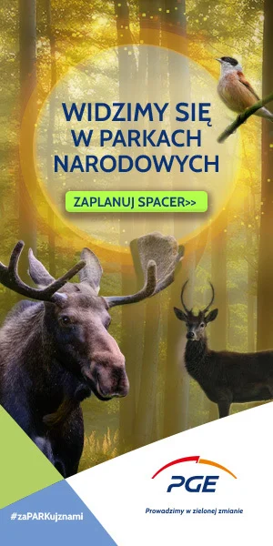 Zobacz jesienną odsłonę Parków Narodowych współpracujących z PGE