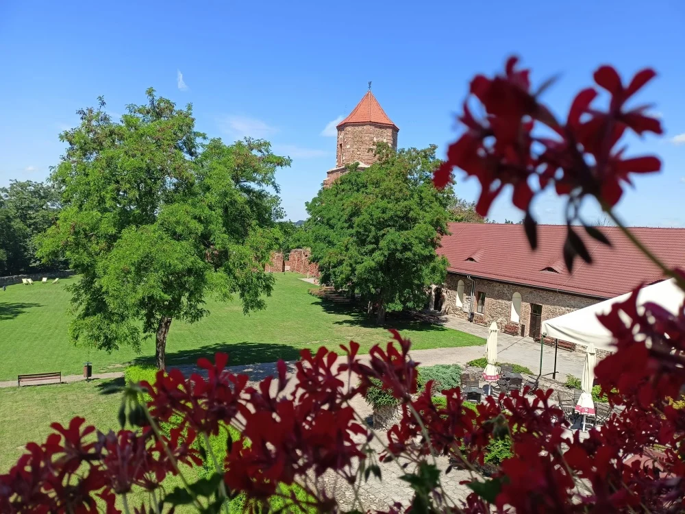 Zamek w Toszku to jeden z ciekawszych zamków położonych na Górnym Śląsku