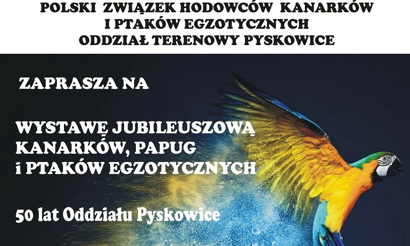 Jubileusz hodowców i wystawa ptaków w Pyskowicach. Zobacz, co będzie się działo!