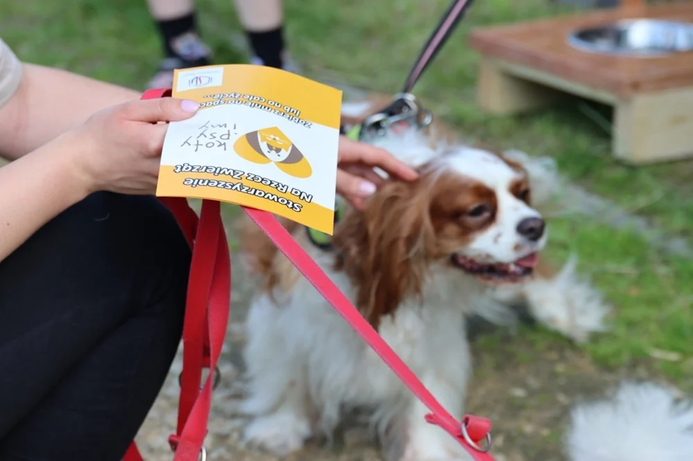 Trwa zbiórka karmy dla wodzisławskiego przytuliska