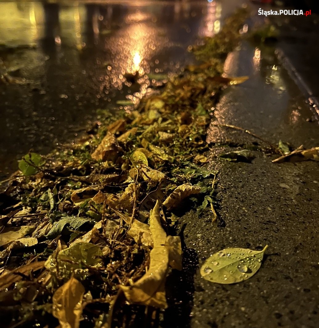 Uwaga! Jesień na drogach!