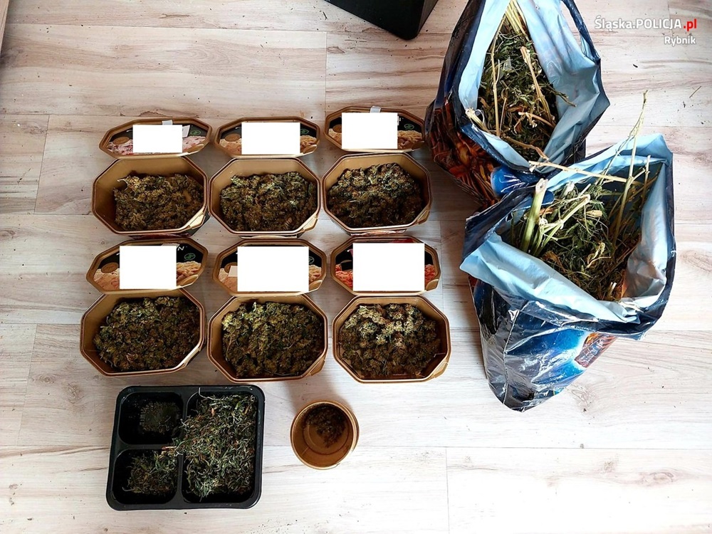 66-latek z Rybnika uprawiał konopie indyjskie!