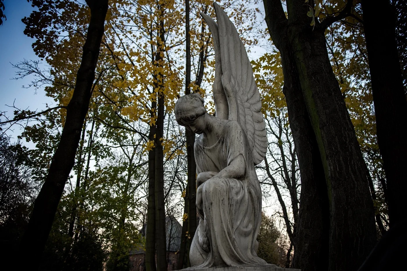 Kwesty na bytomskich nekropoliach