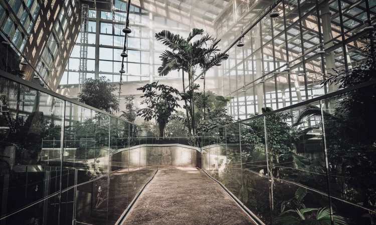 2 grudnia nastąpi otwarcie Nowego Egzotarium w Sosnowcu!