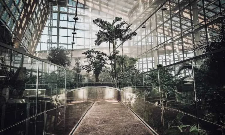 2 grudnia nastąpi otwarcie Nowego Egzotarium w Sosnowcu!