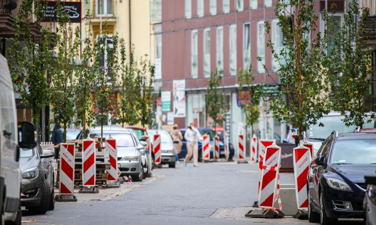 1000 drzew w nieco ponad miesiąc w Sosnowcu. Władze miasta podpisały umowę na nasadzenia