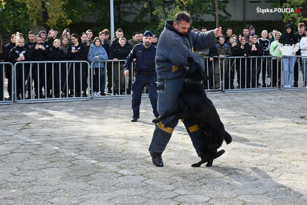 "Poznaj nas - zostań śląskim policjantem". Dzień otwarty w katowickiej Policji