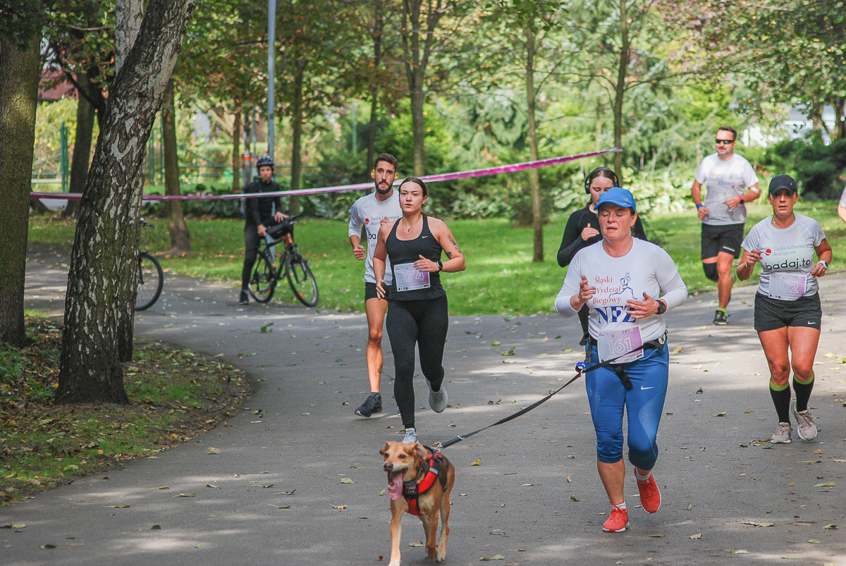 9 Bieg Zdążyć Przed Rakiem 24