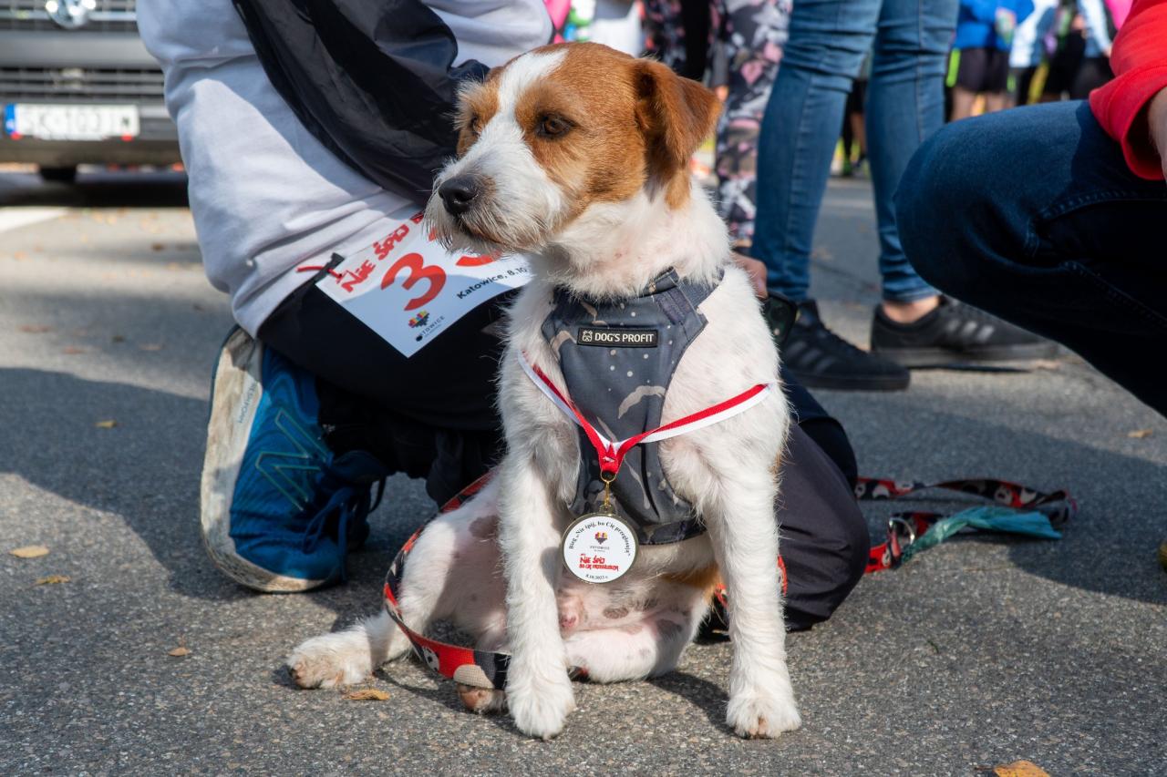 bieg "Nie śpij, bo cię przegłosują" 3
